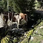 Сasa de vacaciones Les Trois Maisons - Jaune Osse-en-Aspe