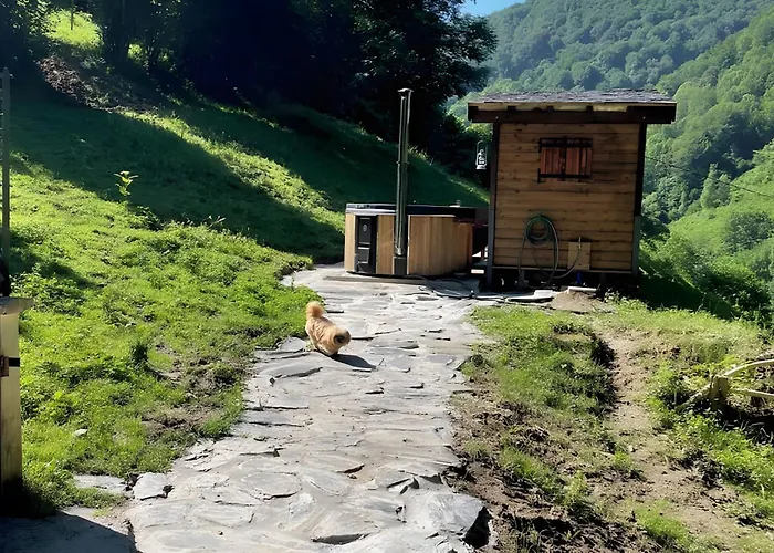 Tatil Evi Les Trois Maisons - Jaune *