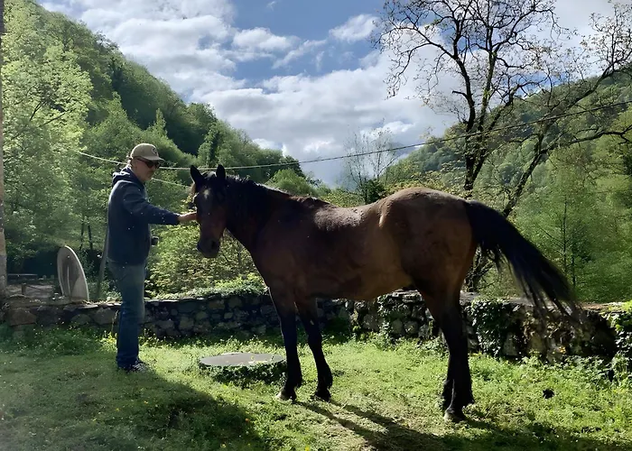 Les Trois Maisons - Jaune * Osse-en-Aspe