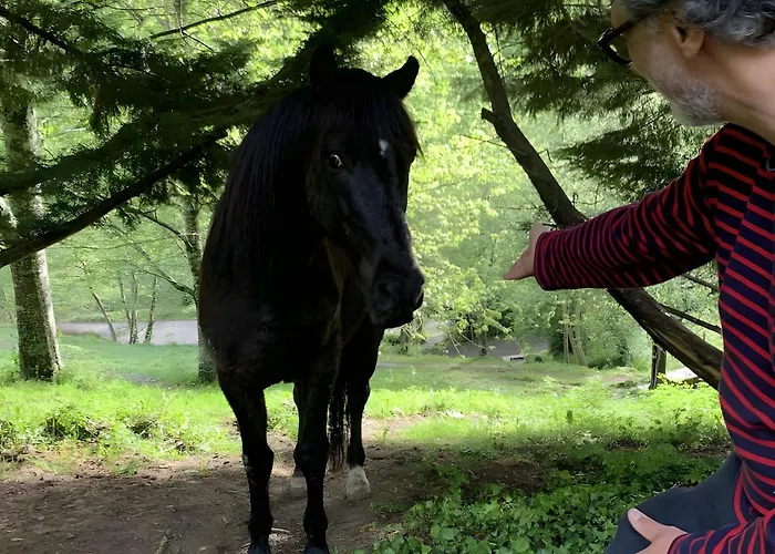 Les Trois Maisons - Jaune