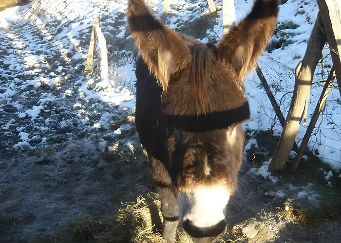 Tatil Evi Les Trois Maisons - Jaune Osse-en-Aspe