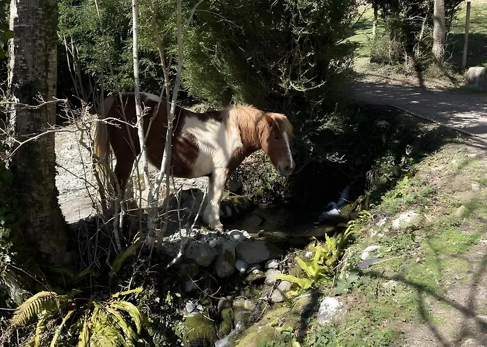 Tatil Evi Les Trois Maisons - Jaune Osse-en-Aspe